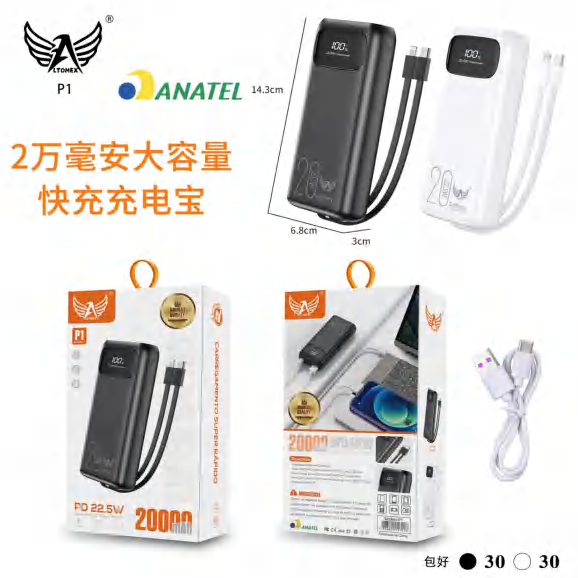 Carregador Portátil P1